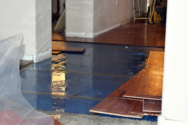 Professional Water Damage Restoration technician working in Carroll, OH